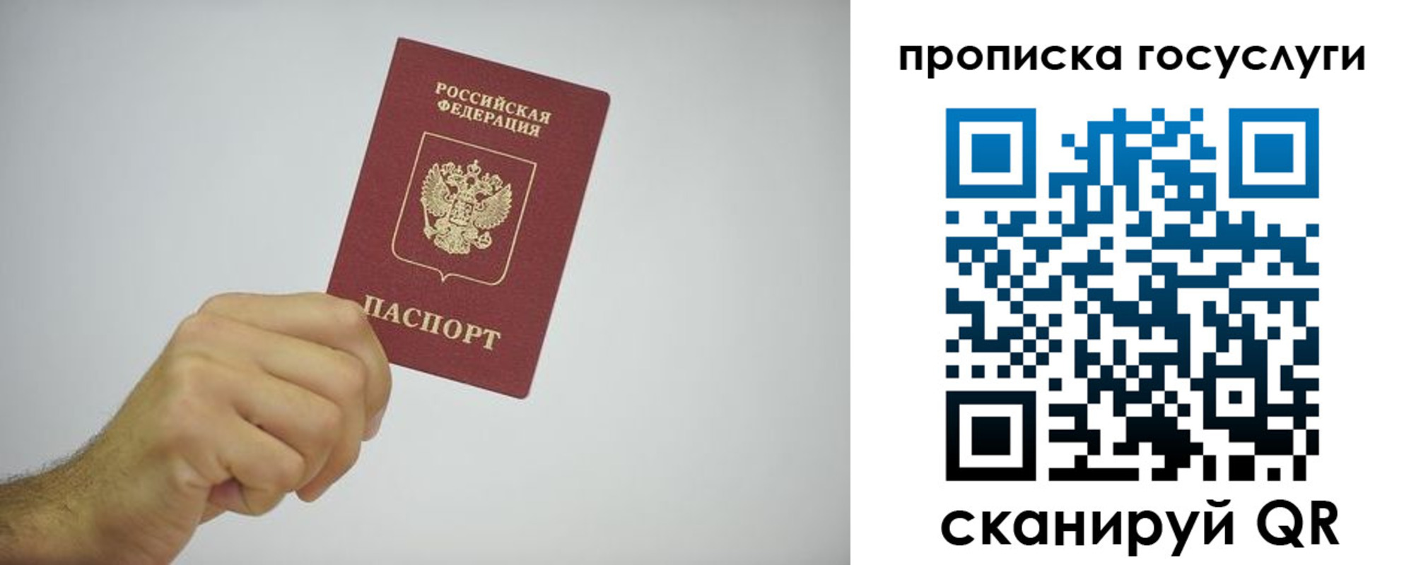 временная регистрация гарантия в Оренбурге